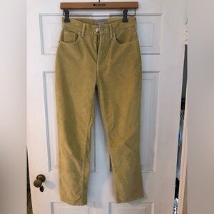 Everlane Women's Yellow Straight Leg Cords